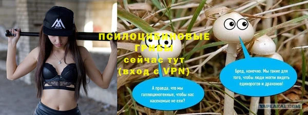 дмт Строитель