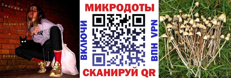 Купить закладки  Сатка  Псилоцибиновые грибы ЛСД 